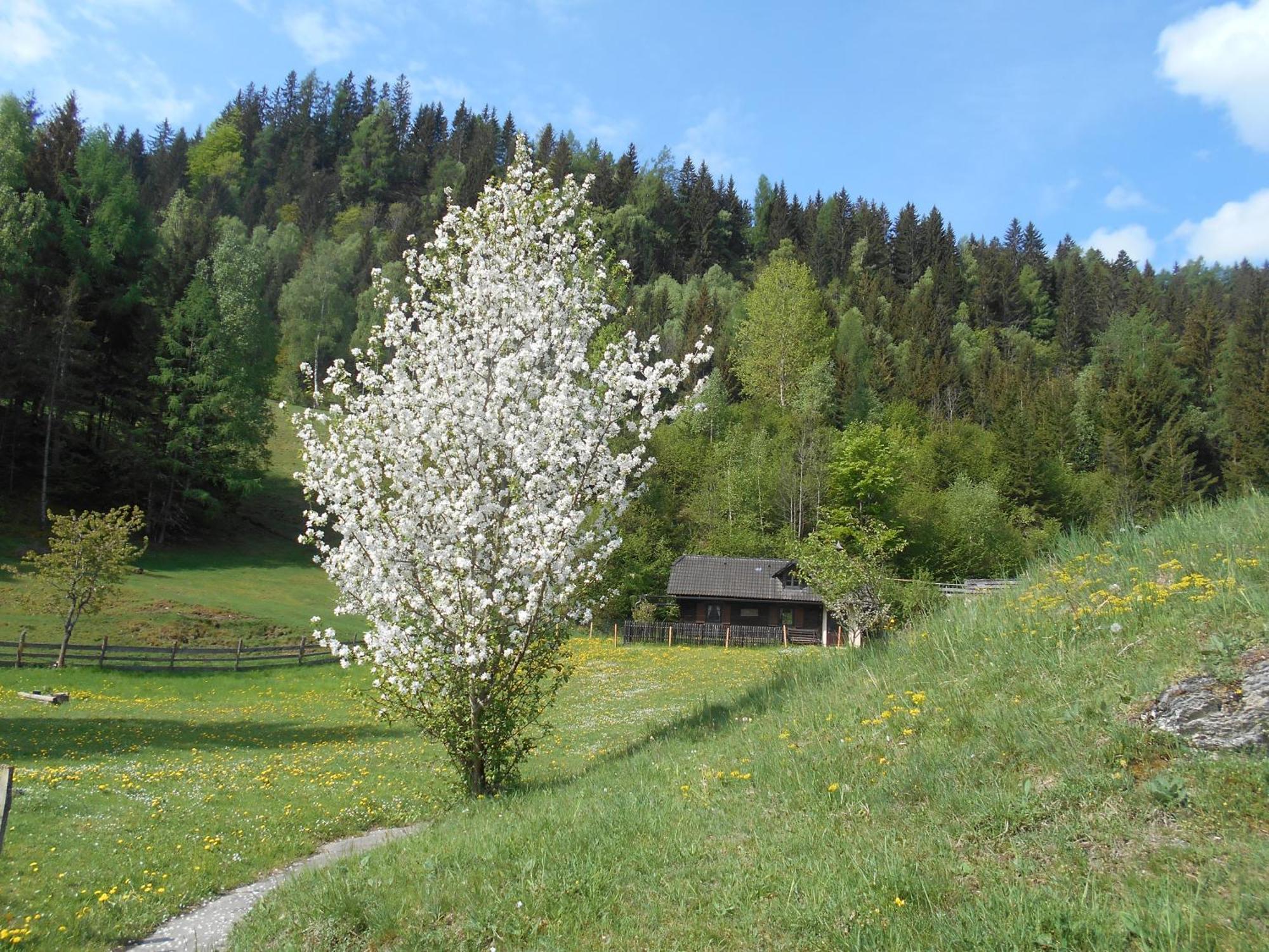 Umundumhütte *