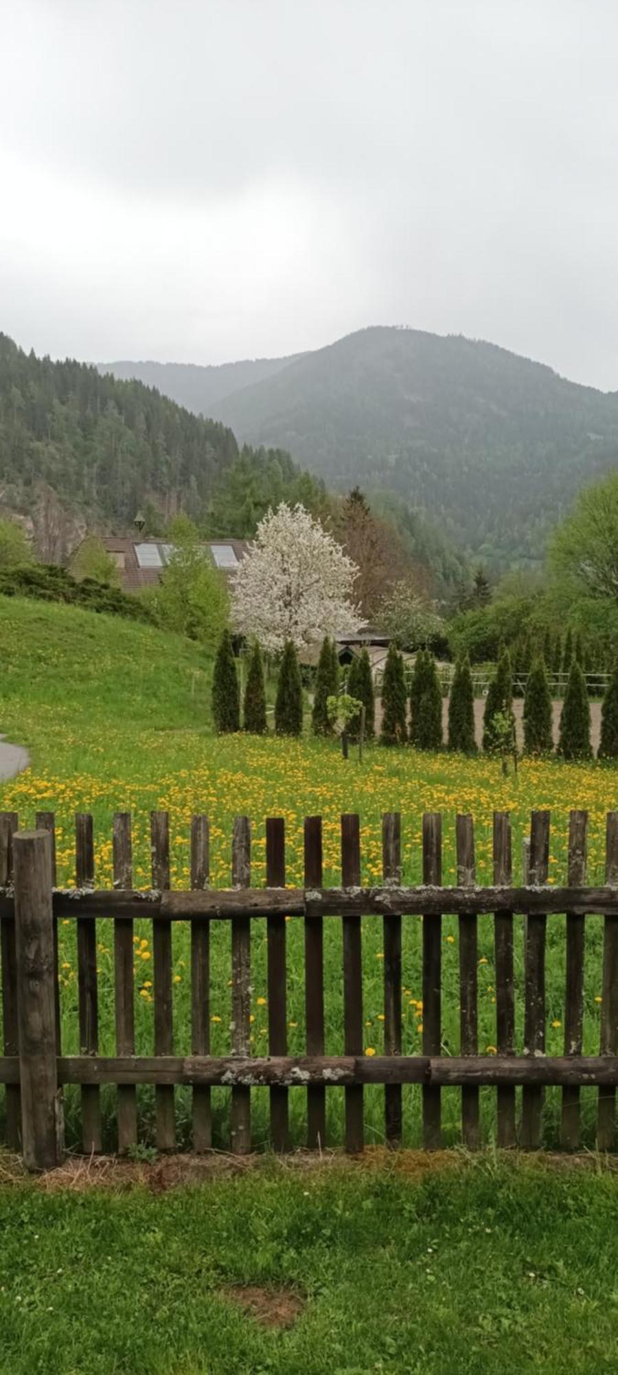 Umundumhütte Ferienhaus *